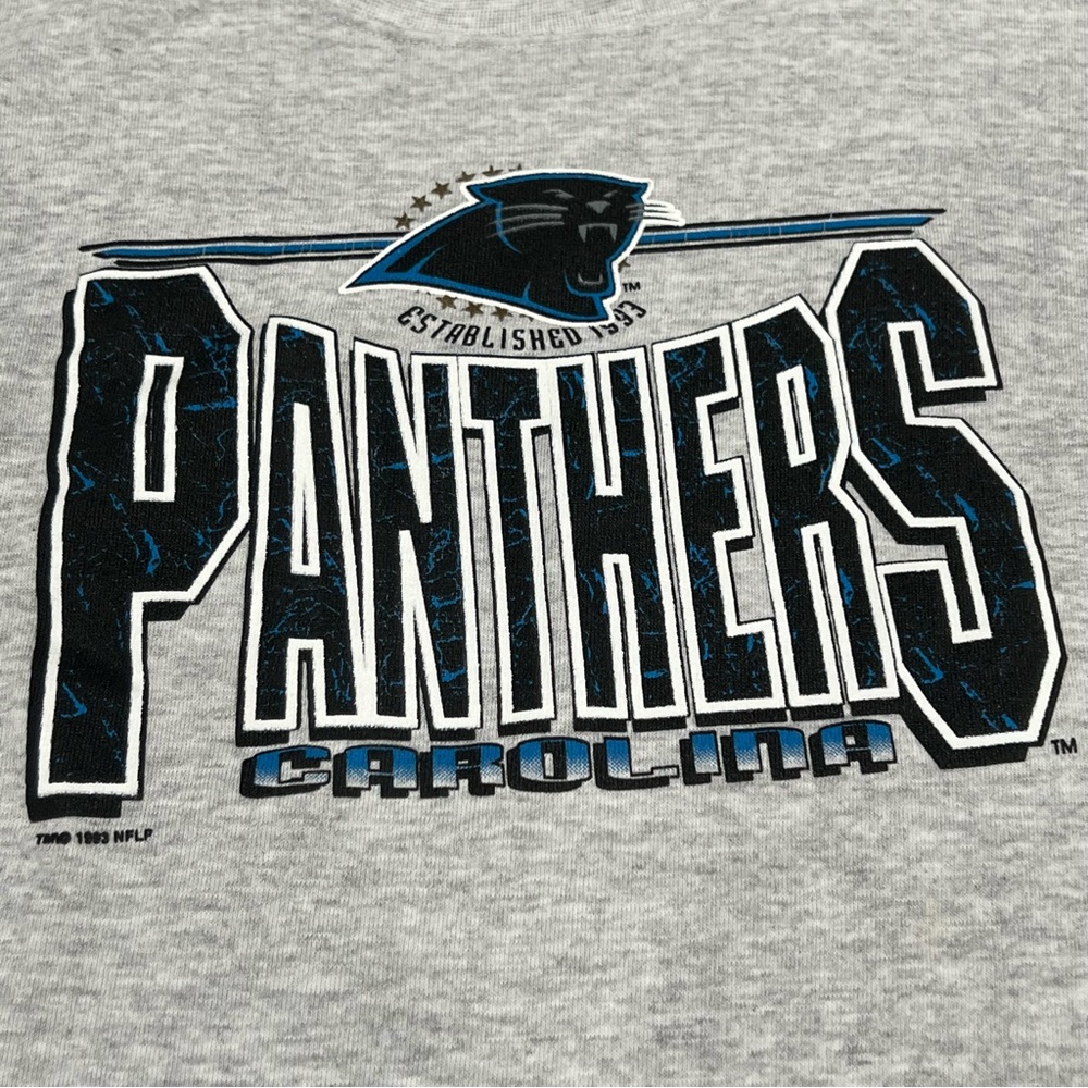 Vtg 1993 Carolina Panthers NFL Football Sweatshirt Pullover Crewneck Approx. XL - Picture 4 of 10